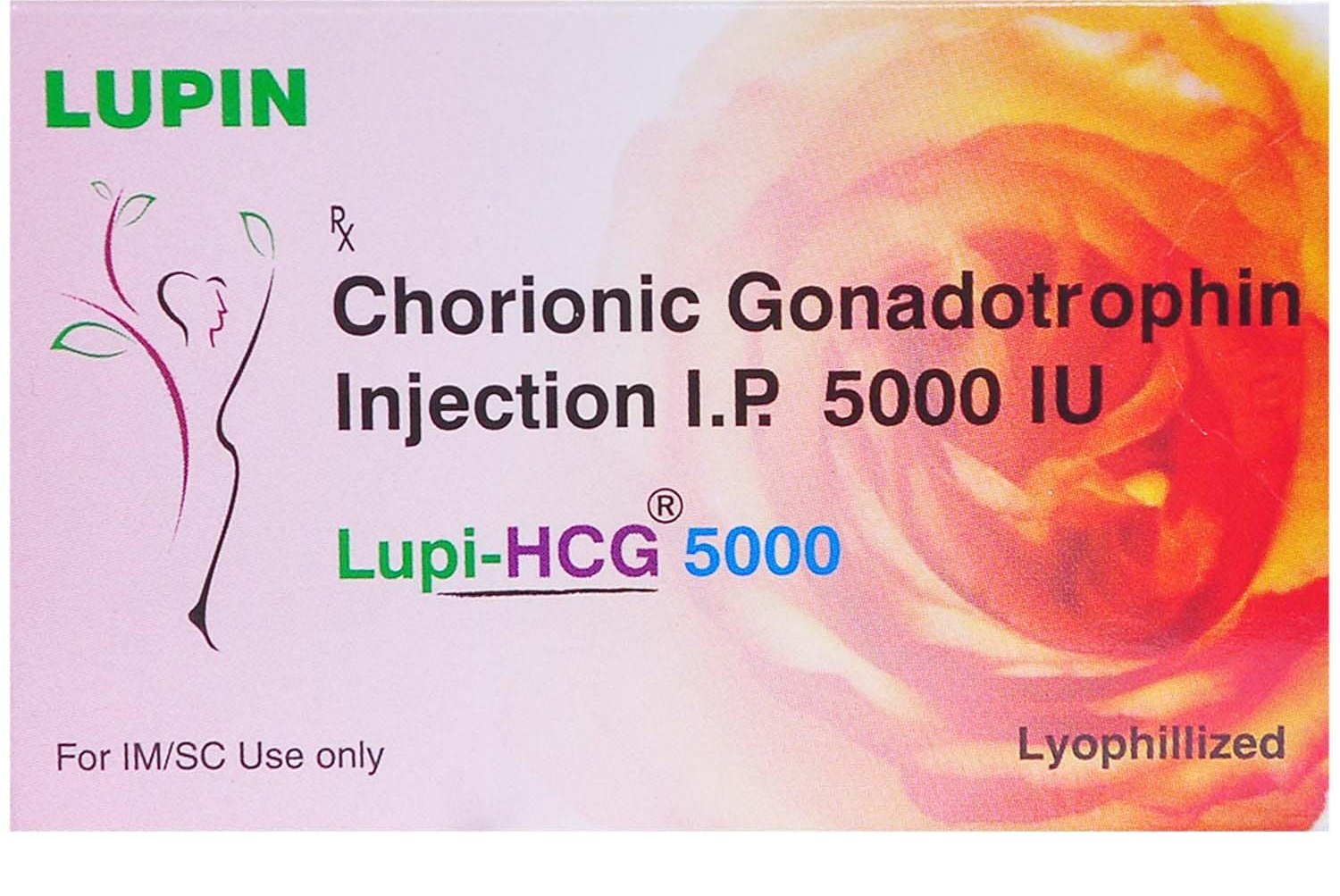 lupi-hcg-5000-injection