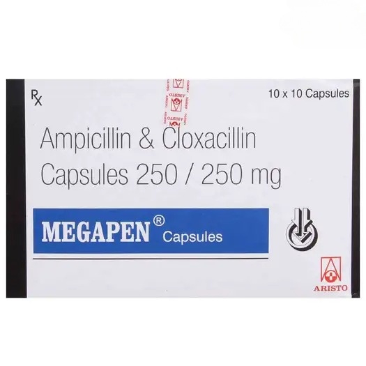 megapen-capsule